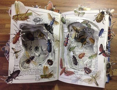 Barbara Pearman: Altered book