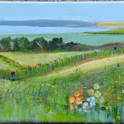 Barbara Spruytenburg: 'On the Wirral' an original mixed media painting