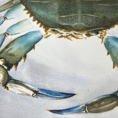 Alan Gray: Blue Crab