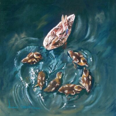 Sally Naomi Creveul: Sparkling Ducklings