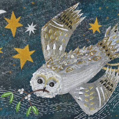 Hayley Noakes: Christmas Owl on a Starry Night