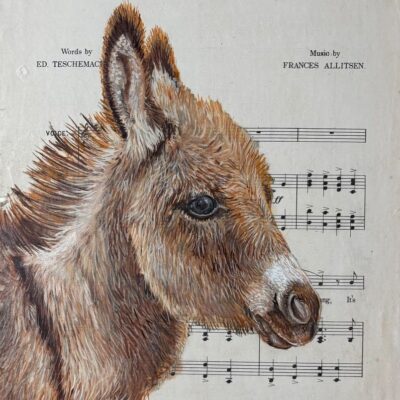 Helen Abbott: Youth: oil on paper