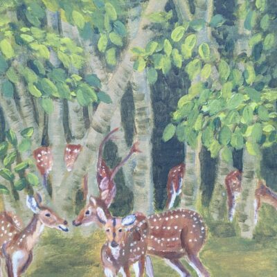 Ruth Marsden: Deer in Clearing