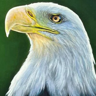 Michael Navarro: 'Eagles Rest' - Oil on wood.
