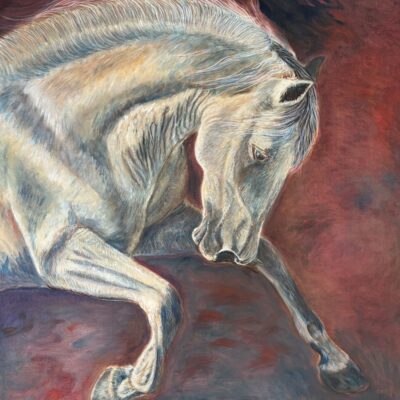 Helen Abbott: Fire Horse, 2026 is the year of the fire horse and this was painted with that in mind. 60cm x 70cm Oil on Canvas