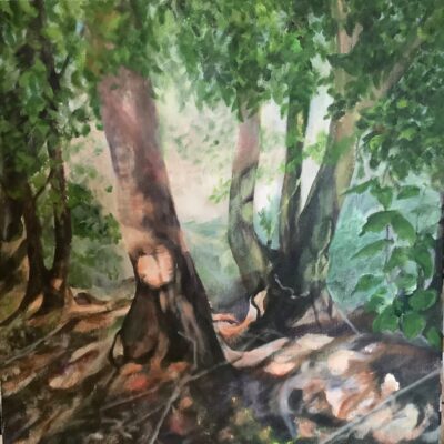 Elizabeth Waumsley: Chiltern Beeches