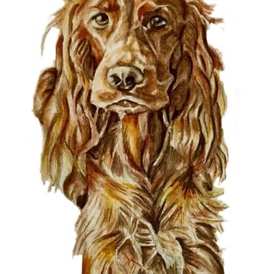 Susan Rawlinson: Watercolour