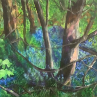 Elizabeth Waumsley: Ashridge Bluebells