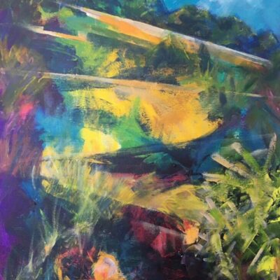 Barbara Burrows: Devon garden