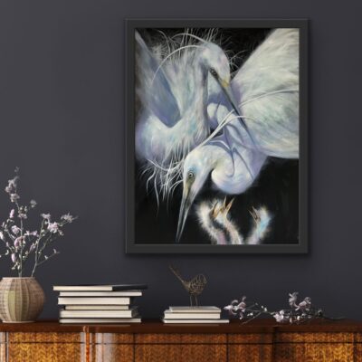 Kim Lloyd: Egret family