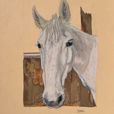 Della’s Pet Portraits: “Robbie”