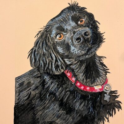 Della’s Pet Portraits: “Molly”- Spaniel