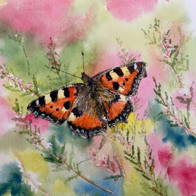 Graham Goodrich Art: Small Tortoiseshell