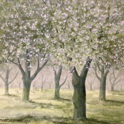 Madeleine Fletcher: The Apple Orchard.   Mixed Media