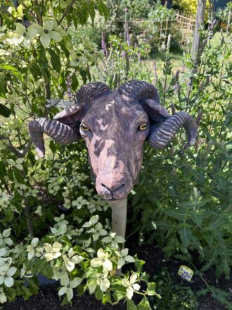 Large stoneware Ram’s head