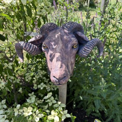 Edith Garraway: Large stoneware Ram’s head