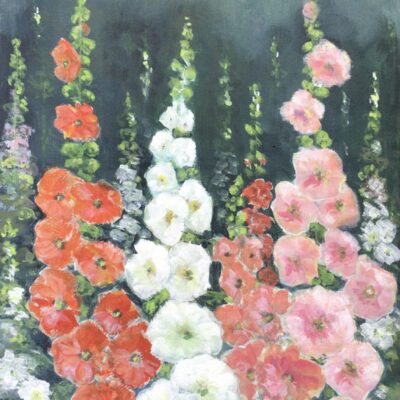 Madeleine Fletcher: Vibrant Hollyhocks.    Acrylic