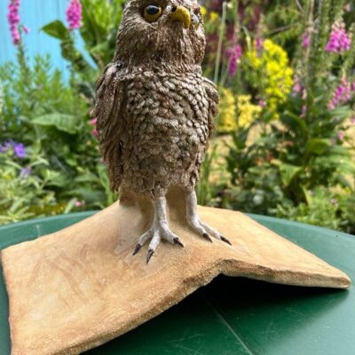 Edith Garraway: Stoneware little owl shed roof tile