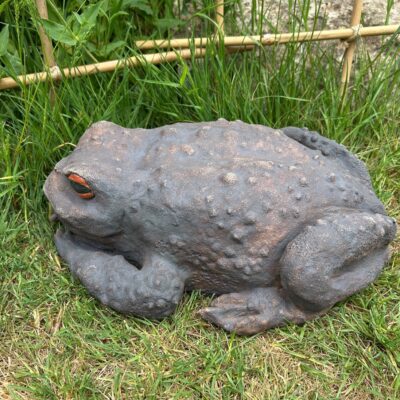 Edith Garraway: Large stoneware toad