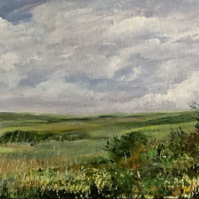 Jenny Thompson: Across the Vale