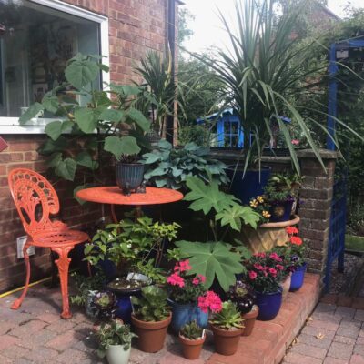 Barbara Pearman: Garden