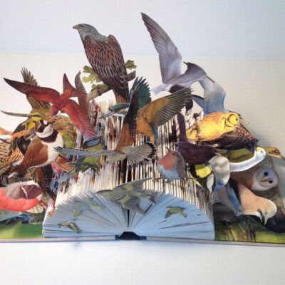 Barbara Pearman: Altered book