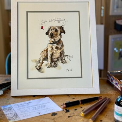 Mel Cairns (i.am.melc): Dog portrait lifestyle photo