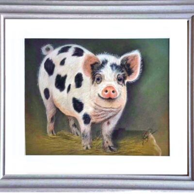 Dawn Cave Field View Studio: This little piggy