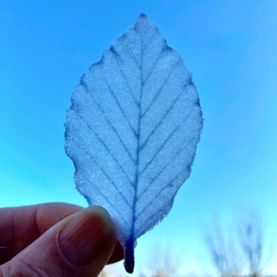 Reiko Ralph: Glass leaf