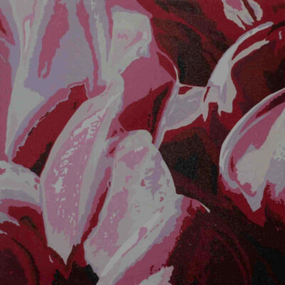 Julian Gardner: Magnolia blooms abstracted
