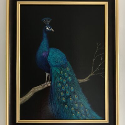 Carose Seascapes: Regal Peacock