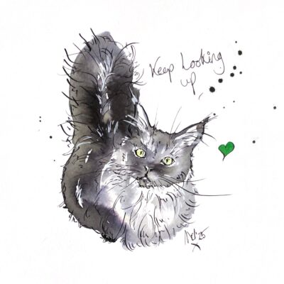 Mel Cairns (i.am.melc): Cat looking up with quote