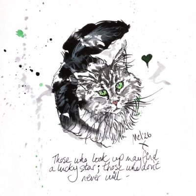 Mel Cairns (i.am.melc): Fluffy cat looking up with a fitting motivational mantra