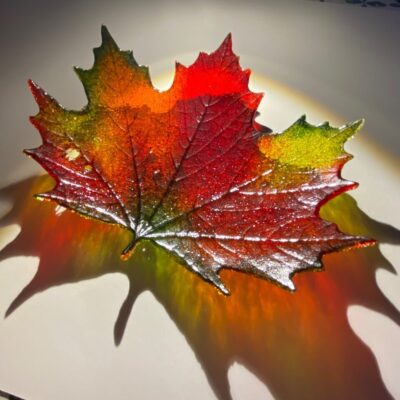 Reiko Ralph: Maple Leaf Bowl