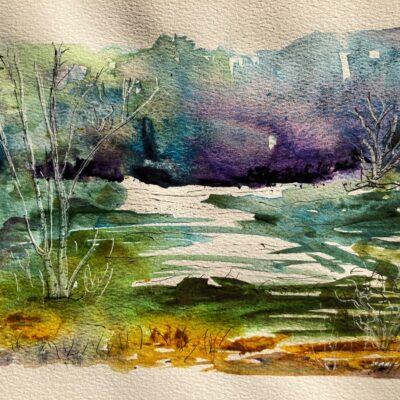 Sandra Ann Phillips: Watercolour  / Wispy View