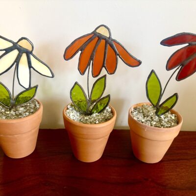 Chadwick-Art: Potted plants