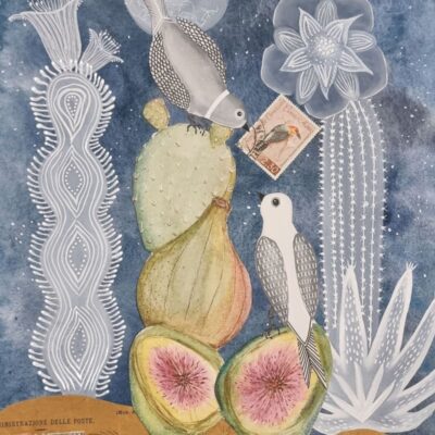 Hayley Noakes: Moonlit Desert Meetup