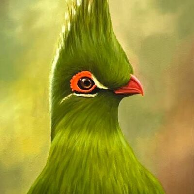 Michael Navarro: 'Mr Turaco' - Oil on wood.