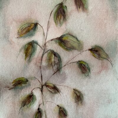 Shalini Belur: Nature Study 1