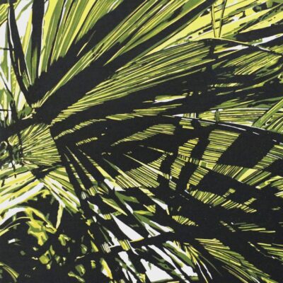 Julian Gardner: Bright sunlight and shadows playing through a palm