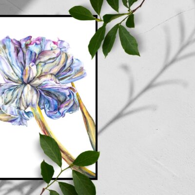 Shalini Belur: Peony 2 - Original Watercolours