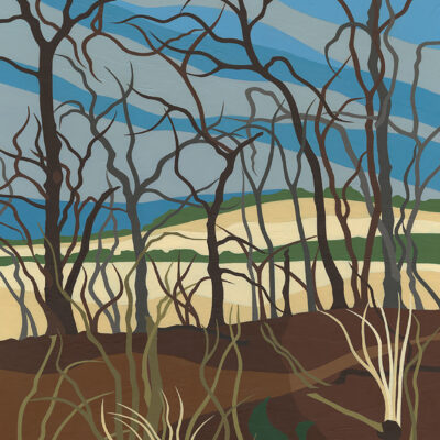 Christine Bass: Ridgeway at Grim's Ditch