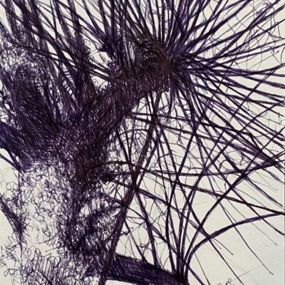 Melissa Mostyn: "White willow sketch," 2026. Pen and ink. Available in print only