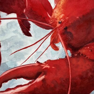 Alan Gray: Lobster