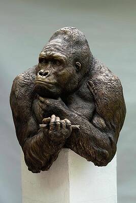 Cut-Throat Studios: The Thinker