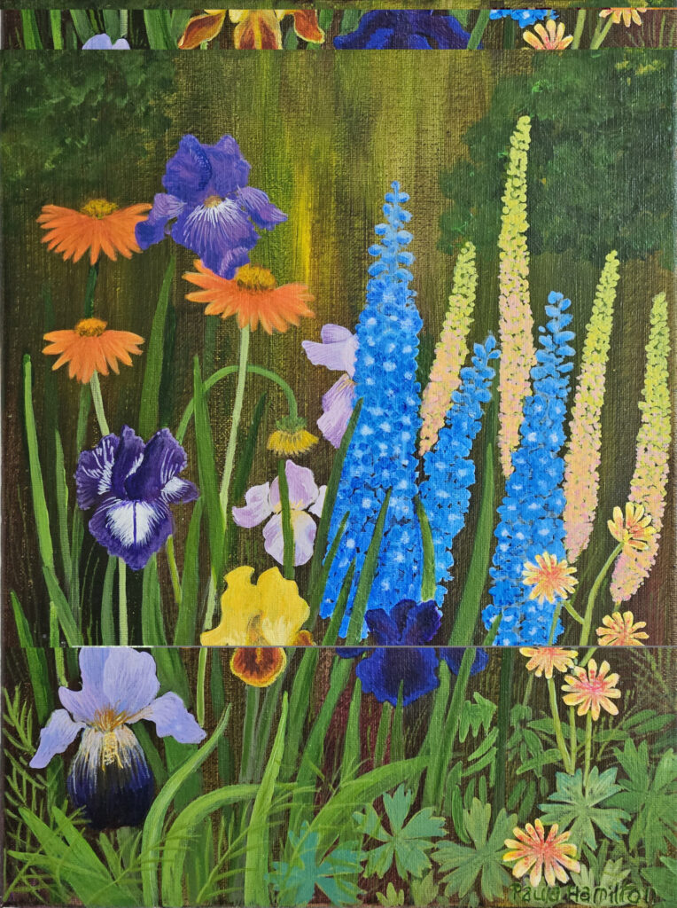 Paula Hamilton image