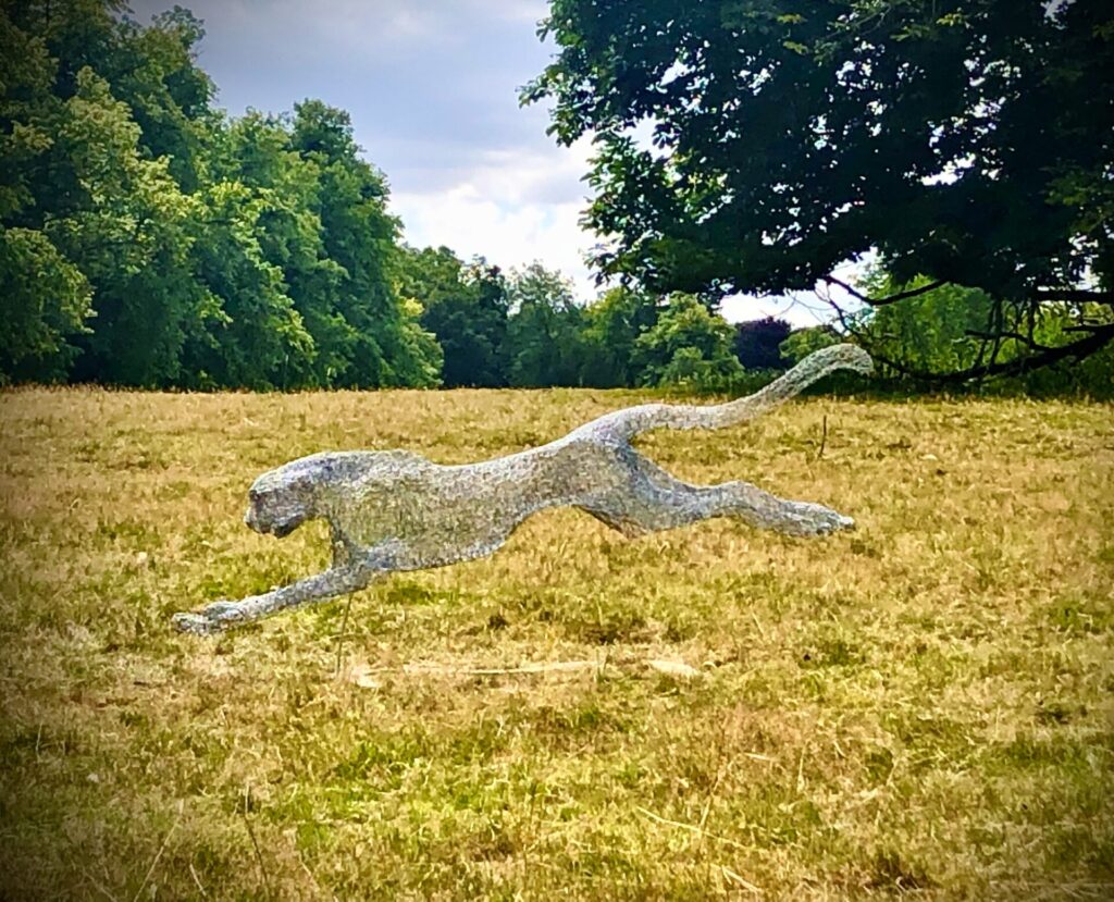 Lindsay Neale Waring image