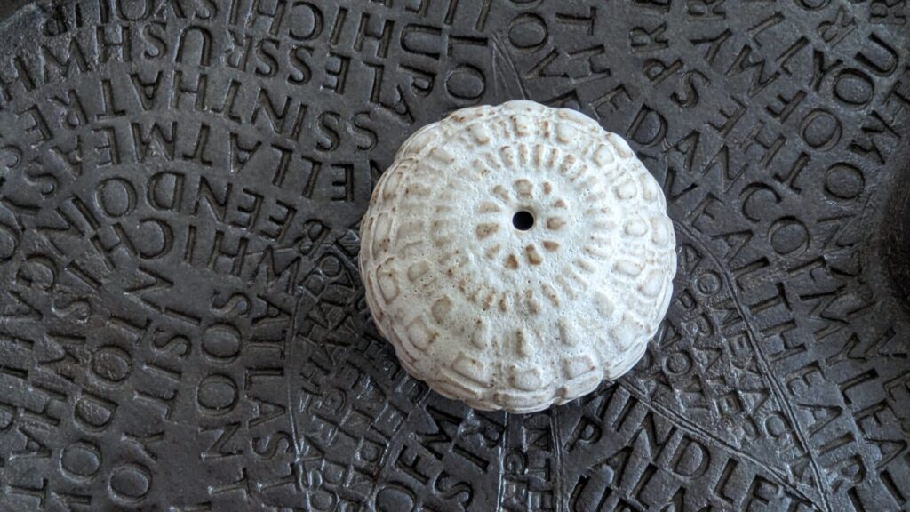 June Kingsbury of 'squareroots' image