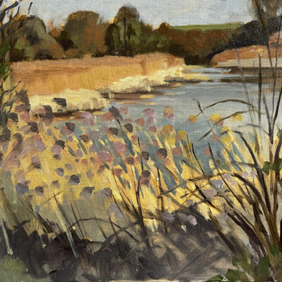 Jackie Henderson: Plein air oil painting, 10x14, Reeds aglow in afternoon light