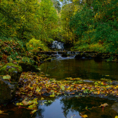 Stuart Feurtado: A small waterfall in a wooded valley with autumn colours